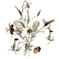 Vintage French Toleware Tole Style Metal Flower Petal Bloom Shaped Wall Ceiling Electric Lamp Light Lighting Shabby Chic c1970-80s