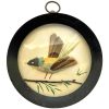 Vintage French Multimedia Feather Branch Painted Framed Bird Art Artwork Curio Framed Wall Hanging c1950's