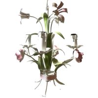 Vintage French Toleware Tole Style Metal Flower Petal Bloom Shaped Wall Ceiling Electric Lamp Light Lighting Shabby Chic c1970-80s / EVE