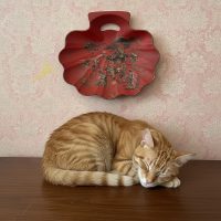 Antique Chinese Red Chinoiserie Paper Mache Shell Shaped Tray Dustpan circa 1920's / EVE