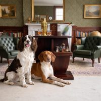 Vintage French Art Deco Style Side Table with Geometric and Curved Elements circa 1960-70's / EVE